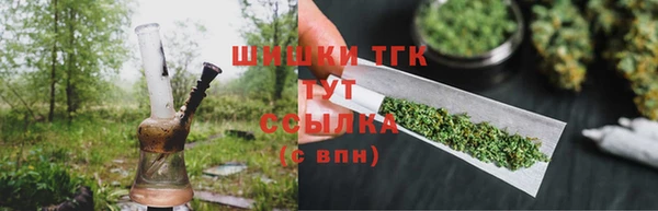винт Инта