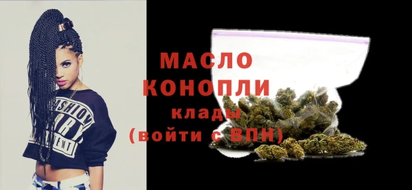 винт Инта