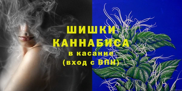 винт Инта