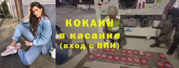 винт Инта